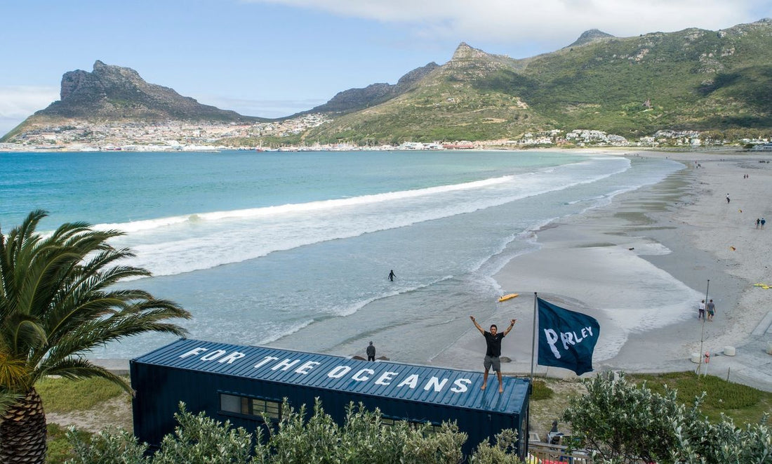 Launch of Parley Ocean School at Sentinel Ocean Alliance
