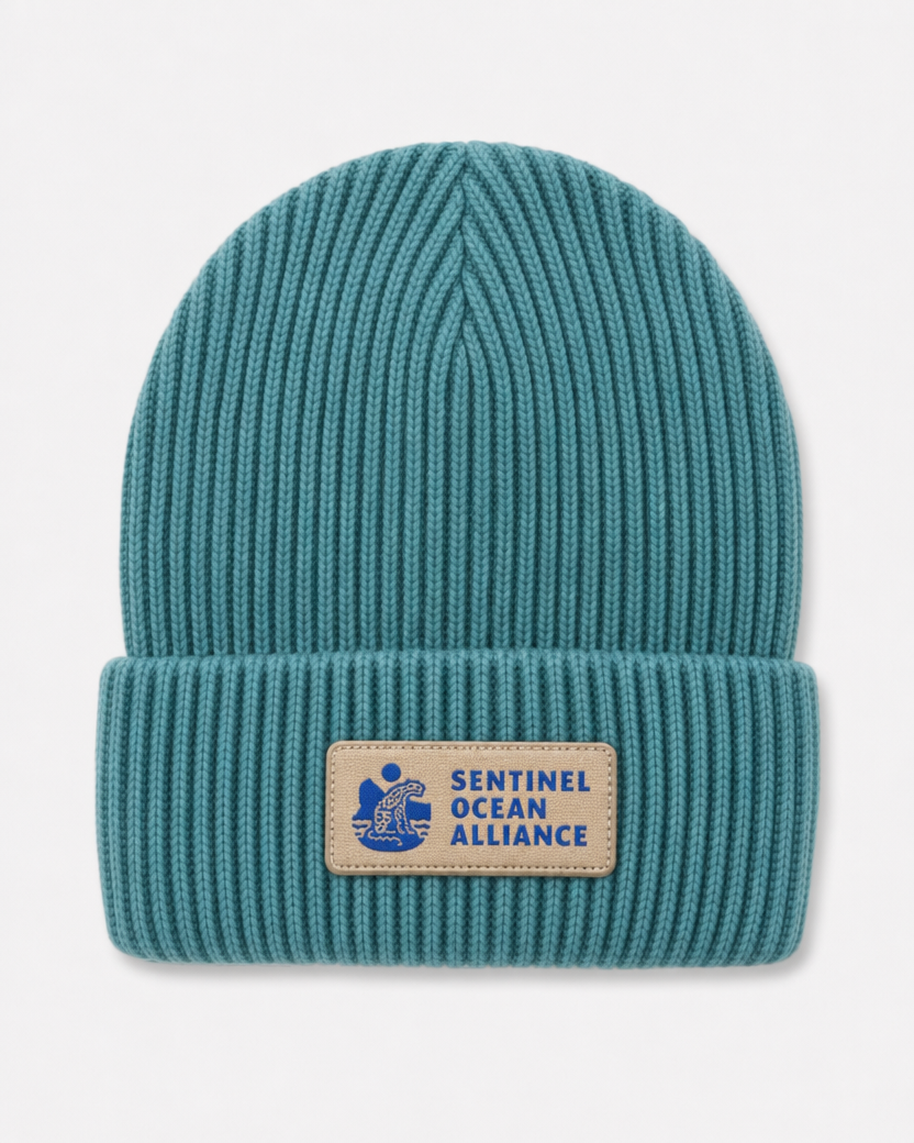 SOA Core Beanie In Sage